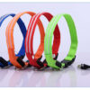 587638192 Pet Supplies LED Flash Dog Collar Nylon Translucent Double Fiber Medium Large Neck Usb Luminous Collar