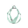 Pet Chest Strap New Macaron Fresh Summer Vest-Style Dog Leash Pet Supplies