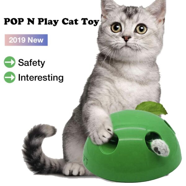 587689698 New Cat Toy Pop Play Pet Toy Ball POP N PLAY Cat Scratching Device Funny Traning Cat Toys For Cat Sharpen Claw Pet Supplies