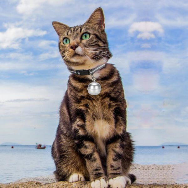587634819 Smart Pet Positioning Bell GPS Locator Waterproof Electronic Collar Anti-lost Device Pet Supplies For Dog Cats Multiple Language