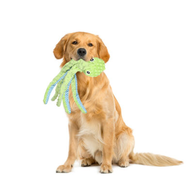 587625580 New Pet Supplies Cute Cartoon Voice Octopus Toys Puzzle Biting Cat and Dog Supplies