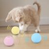 587635542 Smart Cat Toys Interactive Ball Catnip Cat Training Toy Pet Playing Ball Pet Squeaky Supplies Products Toy for Cats Kitten Kitty