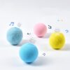 587635499 Smart Cat Toys Interactive Ball Catnip Cat Training Toy Pet Playing Ball Pet Squeaky Supplies Products Toy for Cats Kitten Kitty