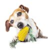Pet Supplies Dog Toys Molar Sticks Resistant to Bite Clean Teeth Bone Toothbrush Corn Belt Rope