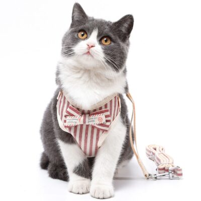 587689594 Cute Dog Cat Harness and Leash Set Nylon Mesh Pet Puppy Harness Lead Cat Collar Clothes Vest for Small Cats Kitten Pet Supplies