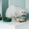 587634935 Cat Dog Feeders Bowl Ceramic Tableware Bowls Pet Food Water Bowl Bamboo Frame Antiskid Pet Supplies Dog Cat Feeding Bowl