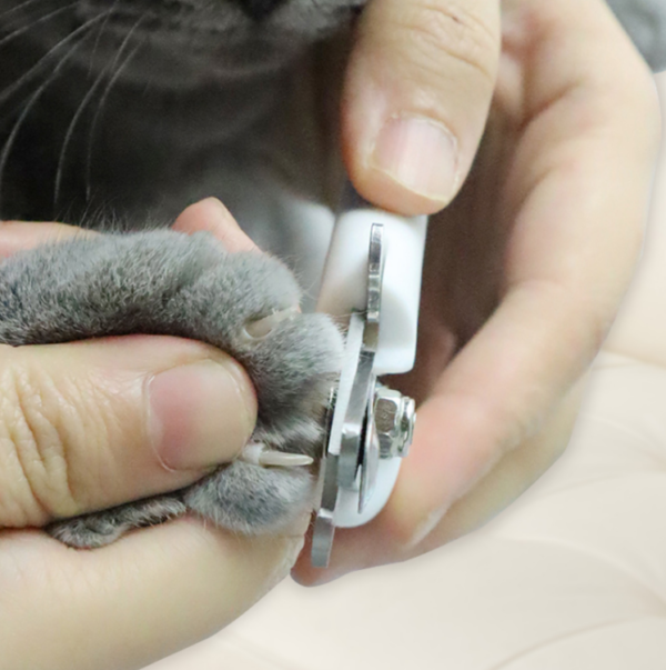 587690902 Professional Pet Nail Clippers Dog Cat Stainless Steel Two-color Labor-Saving Nail Clippers Convenient Beauty Cleaning Supplies