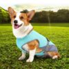 587620234 Pet Cooling Clothing Dog Clothing Pet Cooling Pet Supplies