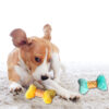 Dog Toy Puppy Teddy Pet Bite-Resistant Cleaning Puppy Plush Bone Supplies Golden Retriever Large Dog Molar