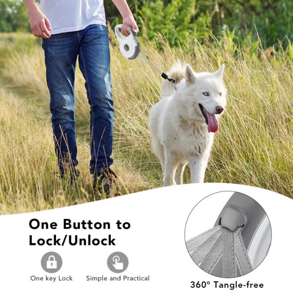 Pet Automatic Retractable Dog Leash Retractable Pet Supplies Reflective Dog Walking Rope Explosion-Proof Punch Not Stuck Rope