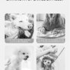 Smart Pet Hair Dryer Dog Golden Retriever Cat Grooming Hairdressing Blow & Comb Silent No Harm Pet Cleaning Supplies Pet Product