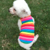Pet Pet Tiger Pet Clothing Dog Clothes Spring Summer And Autumn Colorful Striped Teddy Vest Cat Supplies Cotton