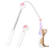 Gravitational Pet Laser Cat Cudgel Cat Feather Replacement Can Add Cat Mint Pet Supplies Kitten Toys