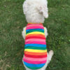Pet Pet Tiger Pet Clothing Dog Clothes Spring Summer And Autumn Colorful Striped Teddy Vest Cat Supplies Cotton