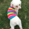 Pet Pet Tiger Pet Clothing Dog Clothes Spring Summer And Autumn Colorful Striped Teddy Vest Cat Supplies Cotton