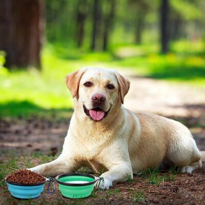 587634578 Portable pet dog folding bowl slow food bowl silicone pet bowl dog basin cat bowl drinking water supplies