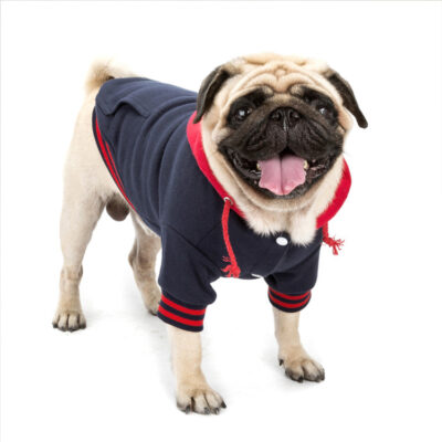 587620378 New Pet Clothes Color Matching Sweater Dog Clothes Pet Supplies