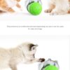 Interactive Toy For Pet Dog Toy Swing Car Toy Pet Food Spiller Puppies Kitten Training Educational Toys Pet Supplies