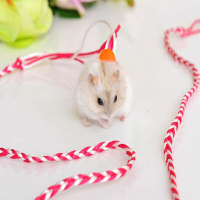 587634715 Hand-Woven Small Pet Dual-Purpose Traction Rope Pet Sliding Mouse Rope Walking Squirrel Traction Rope Hamster Supplies