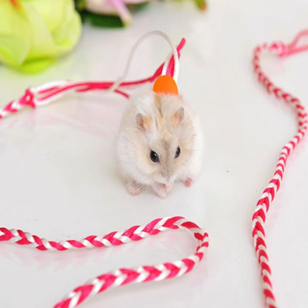 587634715 Hand-Woven Small Pet Dual-Purpose Traction Rope Pet Sliding Mouse Rope Walking Squirrel Traction Rope Hamster Supplies