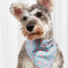 Pet Supplies Pet Saliva Towel Cartoon Pet Dog Collar Cat Triangle Towel Collar Pet Triangle Towel