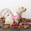 Dog Navy Chest Strap Two-Use Dog Chain Traction Rope Pet Supplies Dog Collar Dog Chain
