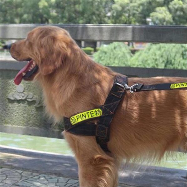 Hot Selling Reflective Chest Strap Dog Rope Dog Strap Pet Supplies
