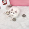 587638359 Cat Toy Sisal Ball Cat Claw Knitting Ball Funny Cat Ball Cat Toy Pet Supplies