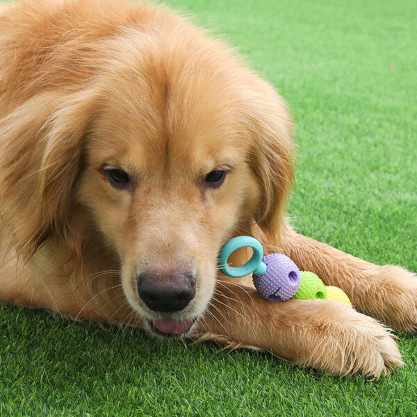 587634496 Pet Toys Dog Molar Stick Cat Chew Gum Candy Gourd Molar Teeth Cleaning TPR Toy Pet Supplies