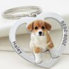 Family commemorative pet dog hang tag photo keychain couple photo titanium steel DIY necklace pendant customized