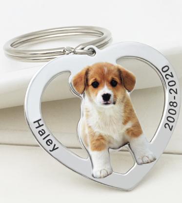 587617495 Family commemorative pet dog hang tag photo keychain couple photo titanium steel DIY necklace pendant customized