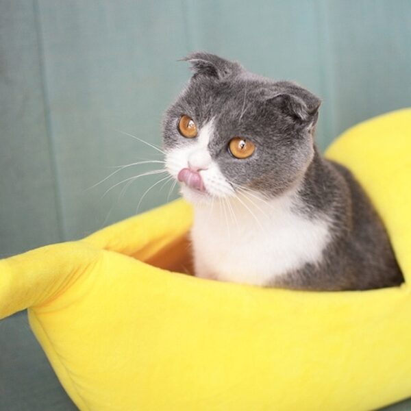 587691239 Funny Banana Cat Bed House Cute Cozy Cat Mat Beds Warm Durable Portable Pet Basket Kennel Dog Cushion Cat Supplies 4 Colors