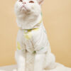Summer New Pet Cat Supplies Shirt Dog Sun Protection Clothing With Hood Thin Section Breathable Fruit Printing Sun Protection Clothing