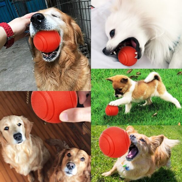 587814388 Dog Toy Rubber Ball Bite-resistant Dogs Puppy Teddy Pitbull Pet Supplies