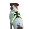 587637214 Pet supplies: explosion - proof, flushable, 8 - gear, color - changing LED, chest braces, clothes and collars with traction.