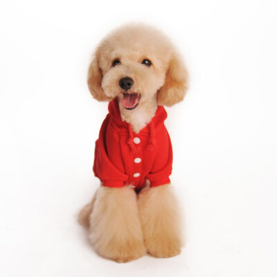 587638526 Autumn And Winter New Trendy Plain Color Pet Casual Sweater Dog Clothes Supplies