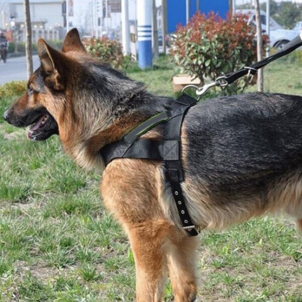 Hot Selling Reflective Chest Strap Dog Rope Dog Strap Pet Supplies