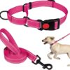 Collar Pet Supplies Nylon Collar Adjustable Traction Rope Reflective Collar Set Dog Leash
