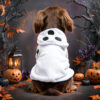 587633633 Halloween Pet Bath Towel Dog Cat Robe Sleepwear Bathing Towel Pet Supplies Small Dogs