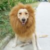 587692339 Pet transformation funny dog lion wig hat pet lion headgear