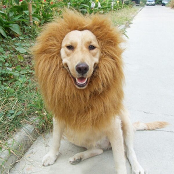 587692339 Pet transformation funny dog lion wig hat pet lion headgear