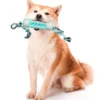 587633801 Pet Dog ToothBrush Sticker Chew Toys Pet Molar Tooth Cleaner Brush Stick Dogs Toothbrush Puppy Dental Care Toy Pet Supplies