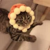587691479 Cotton Pet Hat Decorative Party Pet Cap
