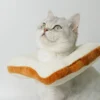 Pet Cat Headgear Toast Headgear