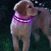 587636133 Nylon LED Pet Dog Collar,Night Safety Flashing Glow In The Dark Dog Leash,Dogs Luminous Fluorescent Collars Pet Supplies 4.7