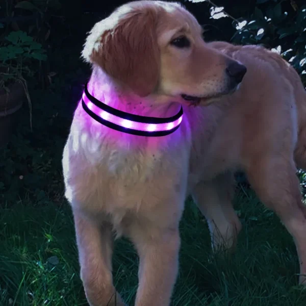 587636133 Nylon LED Pet Dog Collar,Night Safety Flashing Glow In The Dark Dog Leash,Dogs Luminous Fluorescent Collars Pet Supplies 4.7