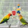 a56d3448-69bd-46ca-82f5-76ac820428e2.jpg Bird Parakeet Toys Swing Hanging Standing Chewing Hammock Climbing Ladder Bird Cage Colorful Toys Suitable For Budgerigar