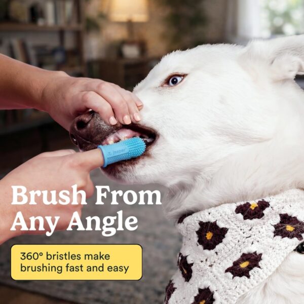 a86bb0f6-33d7-4eaa-b9e6-227021c844f9.jpg Dog Toothbrush, 360 Dog Tooth Brushing Kit, Finger Toothbrush, Cat Tooth Brush, Teeth Cleaning, Pet Tooth Brush For Small Large Pets