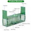 aa52af7d-105d-46e6-b428-2dc59d870853.jpg 32in 2 Door Live Animal Cage Trap With Glove Green For Animals Under 12LBS Easy To Setup Humane Galvanized Iron Trap Cage For Rabbits Groundhogs Skunk Opossums Nutria Stray Cats