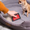 Mini Pet Hair Remover Reusable Advanced Pet Hair Removal Tool For Couch Rugs